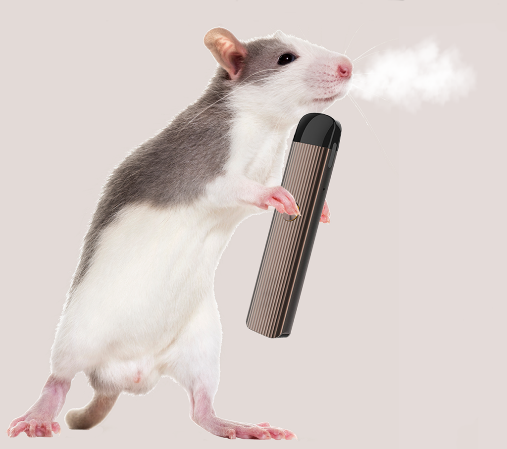 Nicotine - Rat and mouse studies 